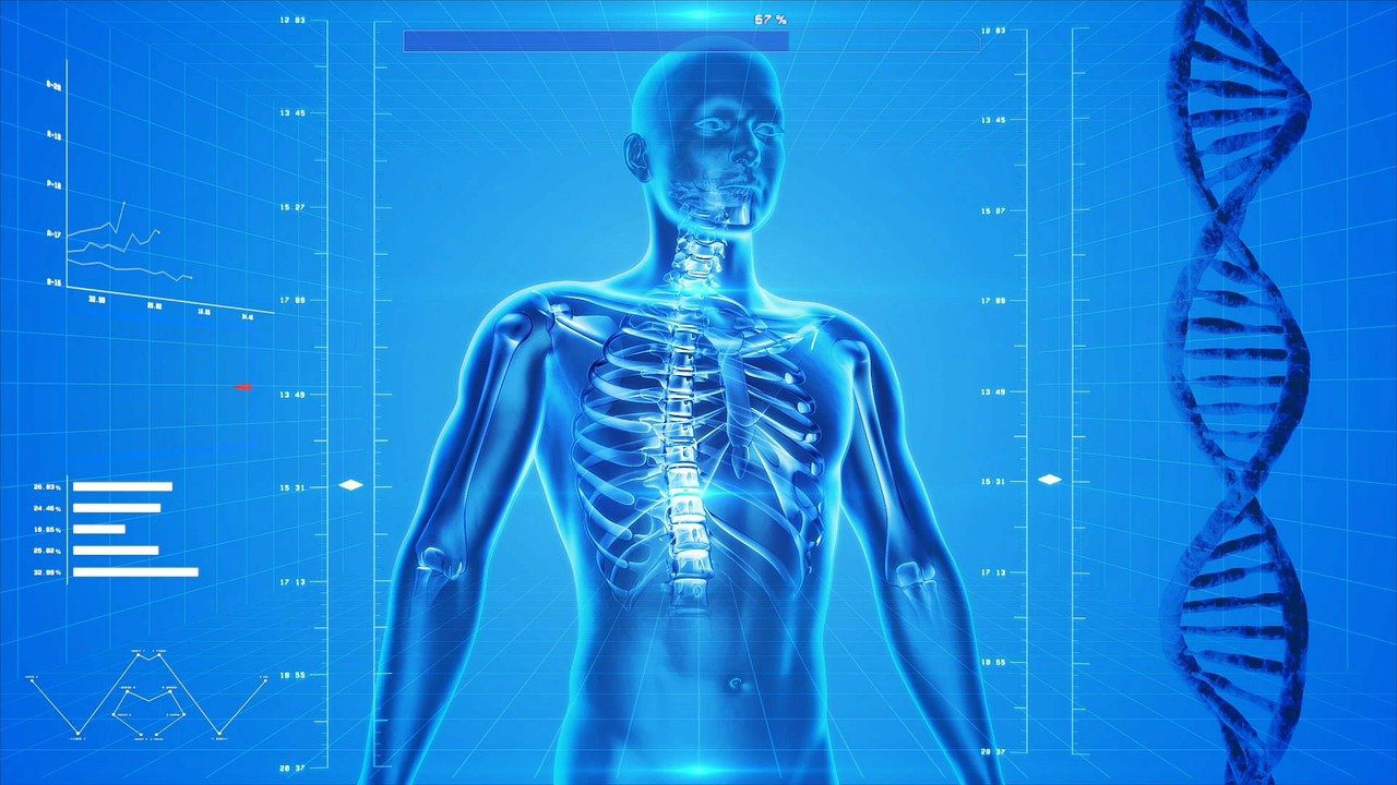 Body-Mass-Index (BMI) 1 Body Mass Index