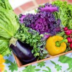 Die Ernährungsbestandteile und ihre Rolle 4 Ernährungsbestandteile